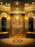 chicago-golden-peacock-doors