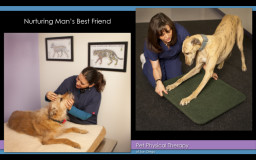 dog-therapy-girl-trainer-ad