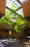lobby-live-tree-skylight